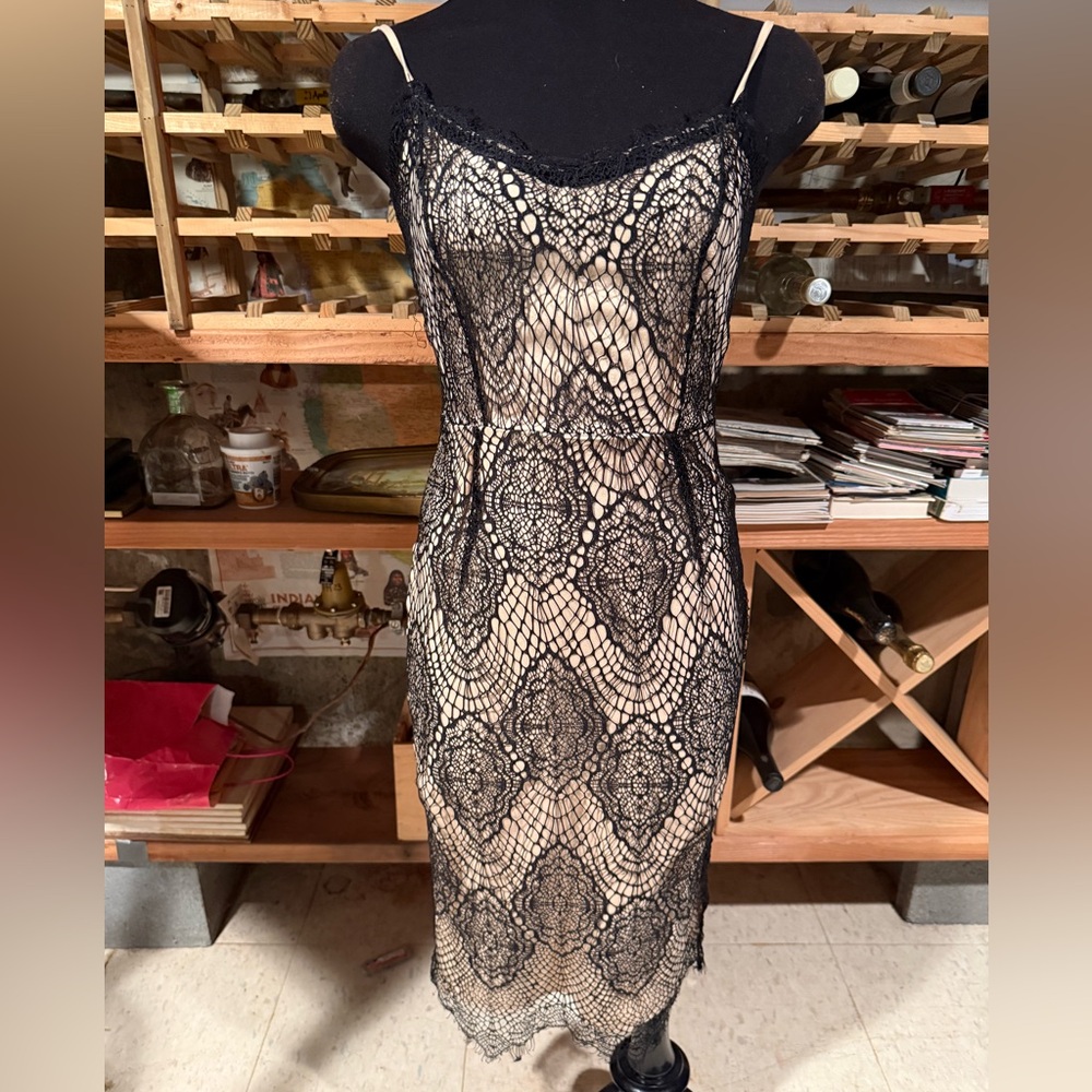 Missguided Black Lace‎ Dress with Beige Underlay